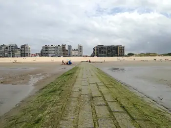 Kokzijde (België)